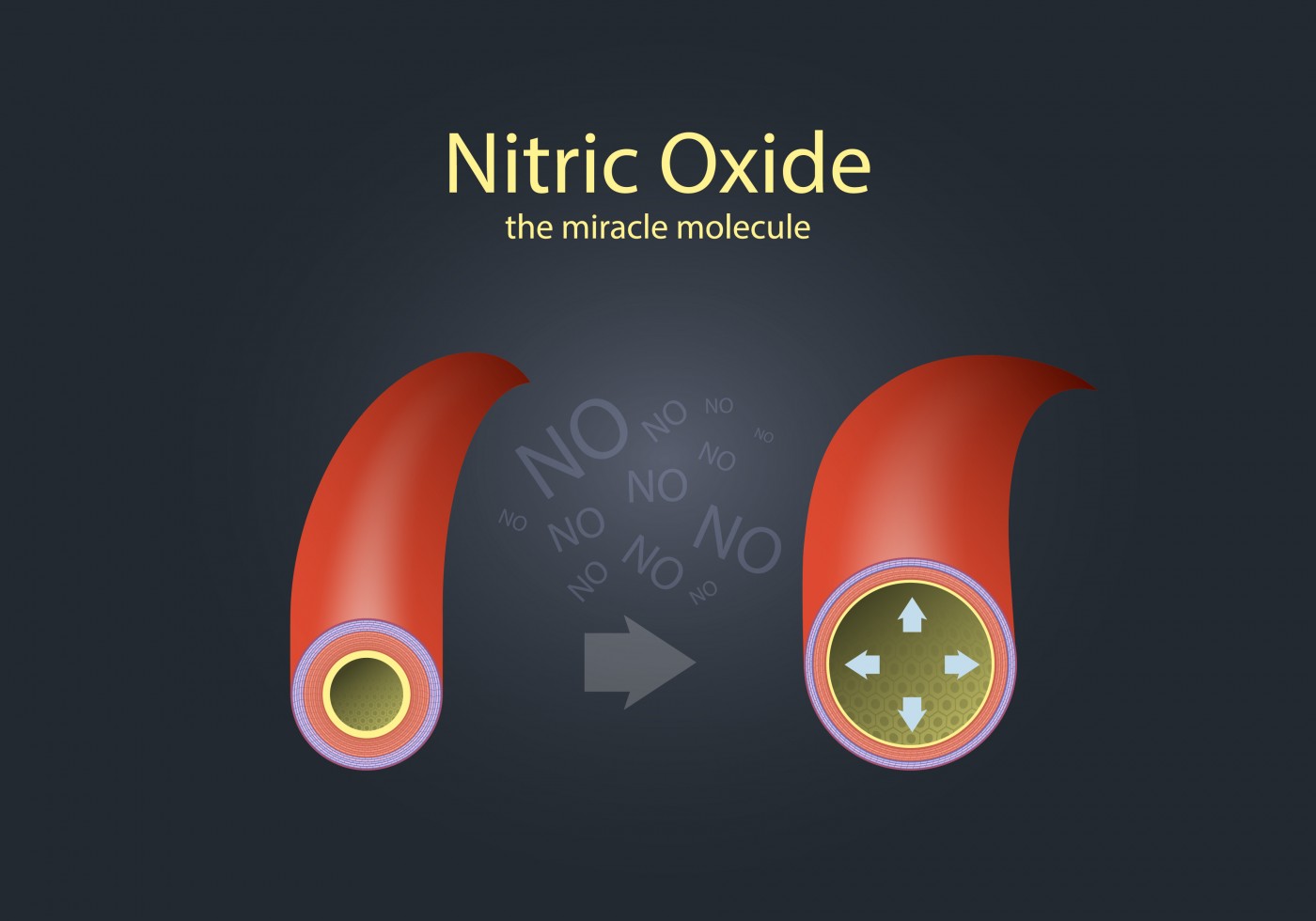 Nitric oxide and cialis